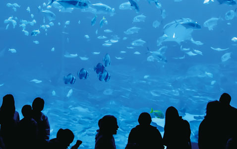 仙台で人気のトイレ交換リフォーム・評判の良い延長保証・有機ガラス系